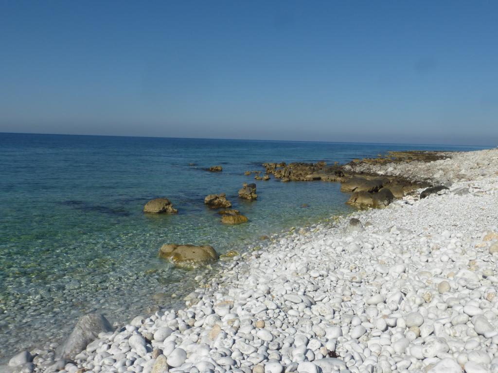 Apartamento Alkyon Seaside